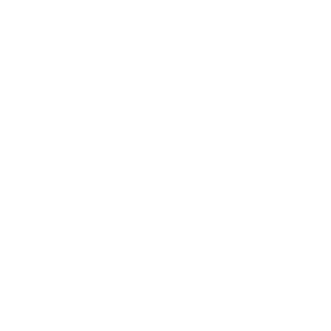Pre-Sales icon